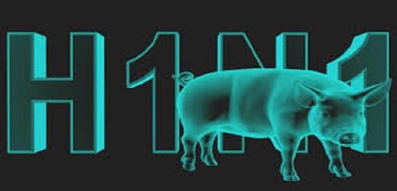 ارتفاع عدد وفيات أنفلونزا الخنازير إلى 11 حالة في تونس